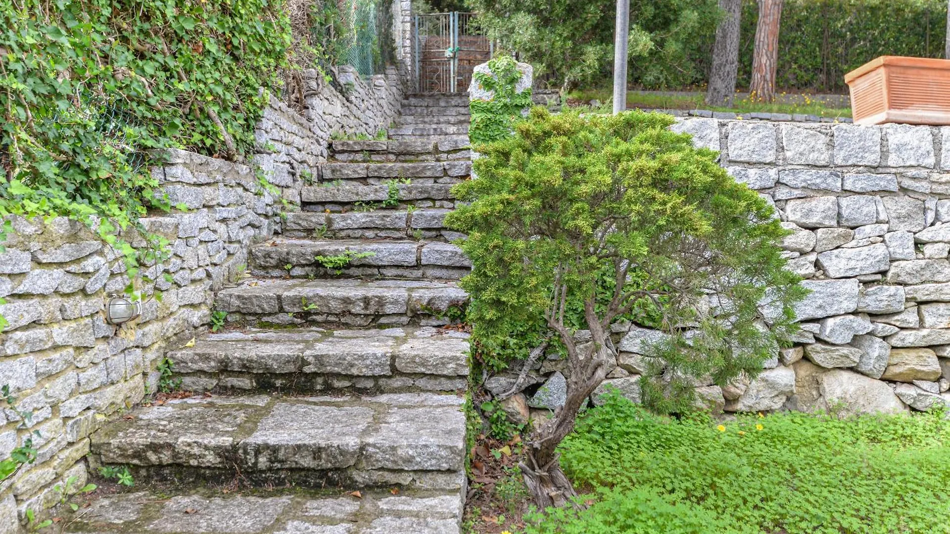 Casa AlziLa Casa Del Colle别墅 度假居
